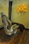 OraSpa Dental Therapy - Elmhurst, IL.